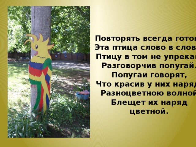 Повторять всегда готова Эта птица слово в слово. Птицу в том не упрекай, Разговорчив попугай. Попугаи говорят, Что красив у них наряд. Разноцветною волной Блещет их наряд цветной. 