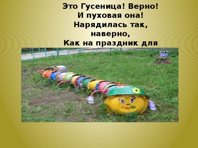 Это Гусеница! Верно! И пуховая она! Нарядилась так, наверно, Как на праздник для меня! 