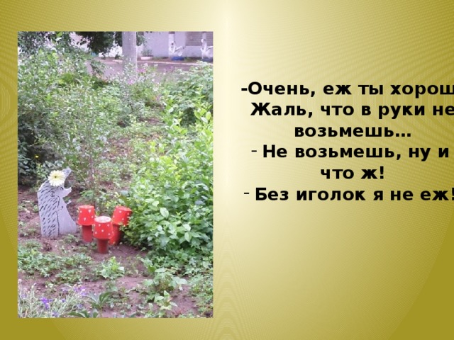 -Очень, еж ты хорош! Жаль, что в руки не возьмешь… Не возьмешь, ну и что ж! Без иголок я не еж! 