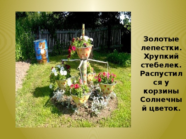 Золотые лепестки. Хрупкий стебелек. Распустился у корзины Солнечный цветок. 