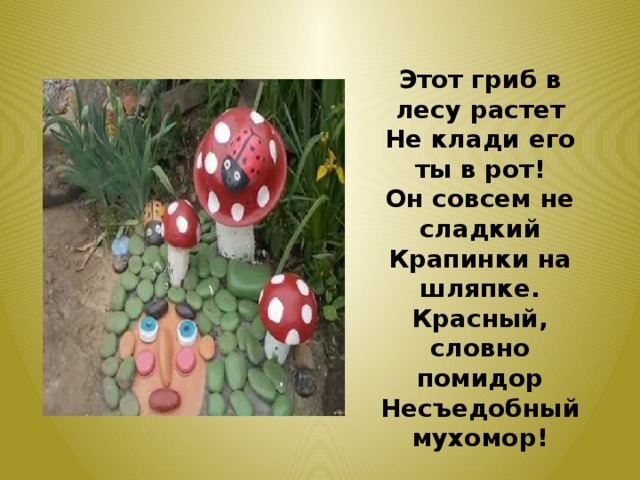 Этот гриб в лесу растет Не клади его ты в рот! Он совсем не сладкий Крапинки на шляпке. Красный, словно помидор Несъедобный мухомор! 