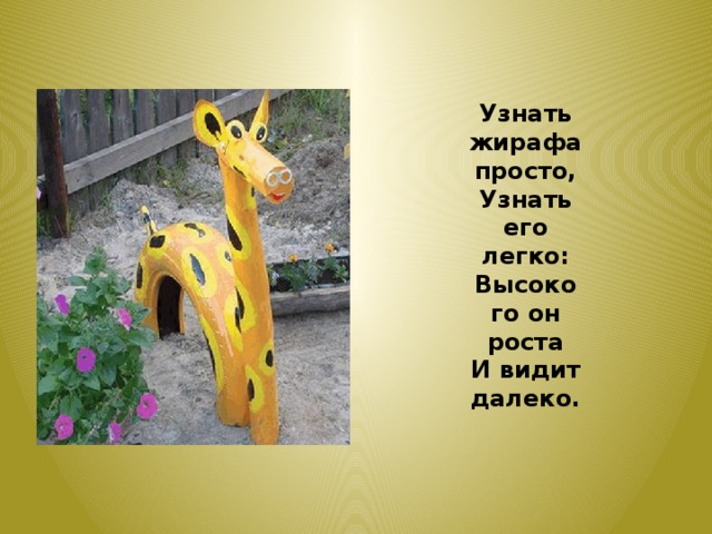 Узнать жирафа просто, Узнать его легко: Высокого он роста И видит далеко. 