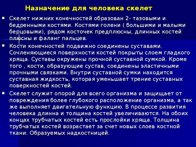 Назначение для человека скелет Скелет нижних конечностей образован 2- тазовыми и бедренными костями. Костями голени ( большими и малыми берцовыми), рядом косточек предплюсны, длинных костей плюсны и фаланг пальцев. Кости конечностей подвижно соединены суставами. Сочленяющиеся поверхности костей покрыты слоем гладкого хряща. Суставы окружены прочной суставной сумкой. Кроме того , кости, образующие сустав, соединены эластичными прочными связками. Внутри суставной сумки находится суставная жидкость, которая уменьшает трение суставных поверхностей костей. Скелет служит опорой для всего организма и защищает от повреждения более глубокого расположение организма, а так же выполняет двигательную функцию. В процессе развития человека длинна и толщина костей увеличиваются. На обоих концах трубчатых костей есть прослойки хряща. Толщина трубчатых костей возрастает за счет новых слоев костной ткани. Образуемых надкостницей. 