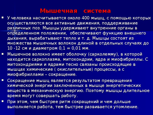 Мышечная система У человека насчитывается около 400 мышц, с помощью которых осуществляются все активные движения, поддерживание различных поз. Мышцы удерживают внутренние органы в определенном положении, обеспечивают функцию внешнего дыхания, вырабатывают тепло и т. д. Мышцы состоят из множества мышечных волокон длиной в отдельных случаях до 10 -12 см и диаметром 0,1 = 0,01 мм. Мышечное волокно имеет оболочку (сарколемму), в которой находится саркоплазма, митохондрии, ядра и миофибриллы. С митохондриями и ядрами тесно связаны происходящие в мышцах химические ( окислительные) процессы, а с миофибриллами – сокращение. Сокращение мышц является результатом превращения химической энергии заключенных в мышце энергетических веществ в механическую энергию. Поэтому мышцы длительное время могут совершать работу. При этом, чем быстрее ритм сокращений и чем дольше выполняется работа, тем быстрее развивается утомление. 