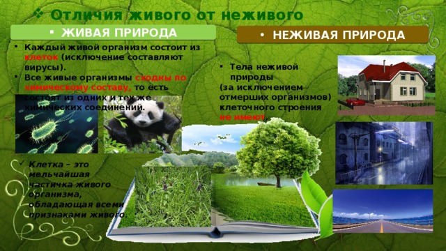Отличия живого от неживого ЖИВАЯ ПРИРОДА НЕЖИВАЯ ПРИРОДА Каждый живой организм состоит из клеток (исключение составляют вирусы). Все живые организмы сходны по химическому составу, то есть состоят из одних и тех же химических соединений. Тела неживой природы (за исключением отмерших организмов) клеточного строения не имеют . Клетка – это мельчайшая частичка живого организма, обладающая всеми признаками живого. 