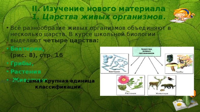 II. Изучение нового материала  1. Царства живых организмов .   Всё разнообразие живых организмов объединяют в несколько царств. В курсе школьной биологии выделяют четыре  царства: Бактерии, Учебник §3 (рис. 8), стр. 16 Грибы, Растения  Животные . Царство –  самая крупная единица  классификации . 