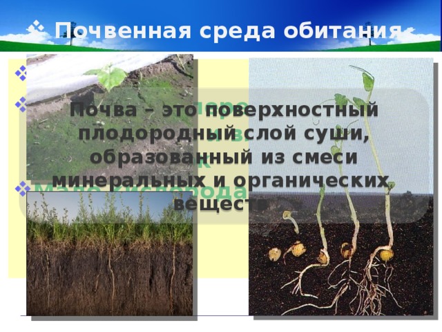 Почвенная среда обитания Нет света Небольшие перепады температуры и влажности в течении суток Мало кислорода Почва – это поверхностный плодородный слой суши, образованный из смеси минеральных и органических веществ 