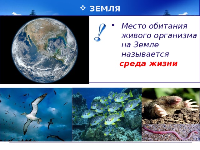 ЗЕМЛЯ Место обитания живого организма на Земле называется  среда жизни 
