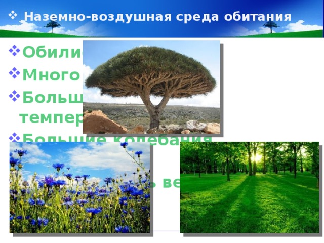 Наземно-воздушная среда обитания Обилие воздуха Много света Большие колебания температуры Большие колебания влажности Большая роль ветра 