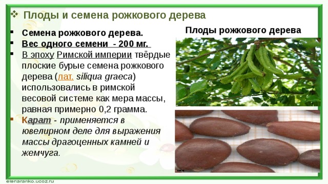 Плоды и семена рожкового дерева Плоды рожкового дерева Семена рожкового дерева. Вес одного семени - 200 мг.  В эпоху   Римской империи  твёрдые плоские бурые семена рожкового дерева ( лат.   siliqua graeca ) использовались в римской весовой системе как мера массы, равная примерно 0,2 грамма. К арат  - применяется в ювелирном деле для выражения массы драгоценных камней и жемчуга.  