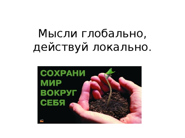 Мысли глобально, действуй локально. 