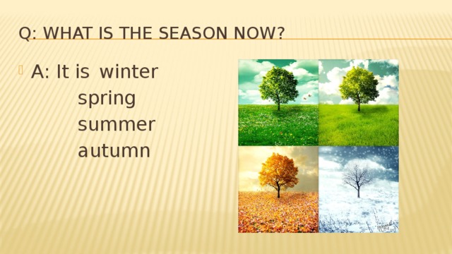 Q: What is the season now? A: It is  winter   spring   summer   autumn 