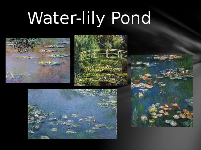 Water-lily Pond 