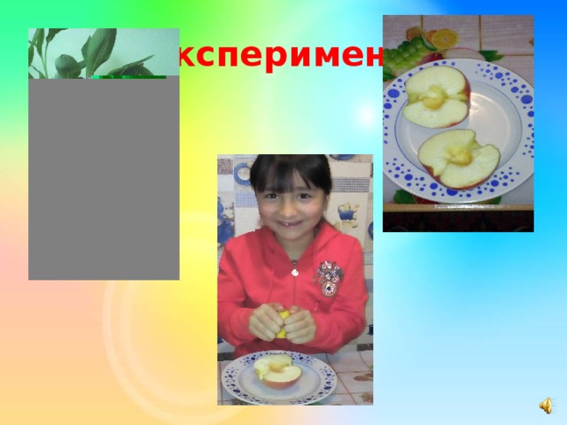 Эксперимент 