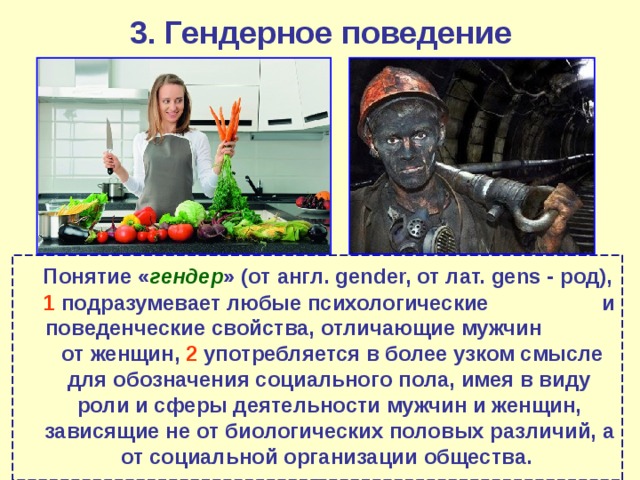 3. Гендерное поведение  Понятие « гендер » (от англ. gender, от лат. gens - род), 1 подразумевает любые психологические и поведенческие свойства, отличающие мужчин от женщин, 2 употребляется в более узком смысле для обозначения социального пола, имея в виду роли и сферы деятельности мужчин и женщин, зависящие не от биологических половых различий, а от социальной организации общества. 