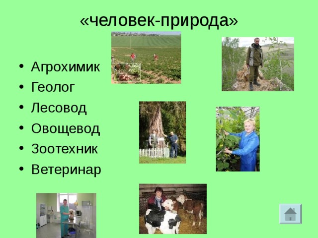 «человек-природа»   Агрохимик Геолог Лесовод Овощевод Зоотехник Ветеринар  