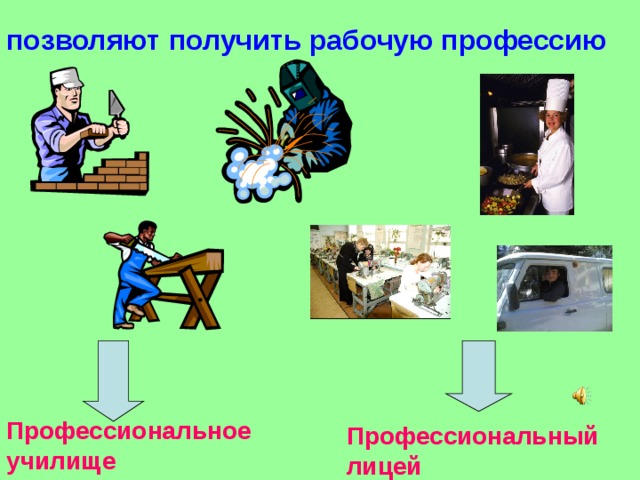  позволяют получить рабочую профессию Профессиональное училище Профессиональный лицей 