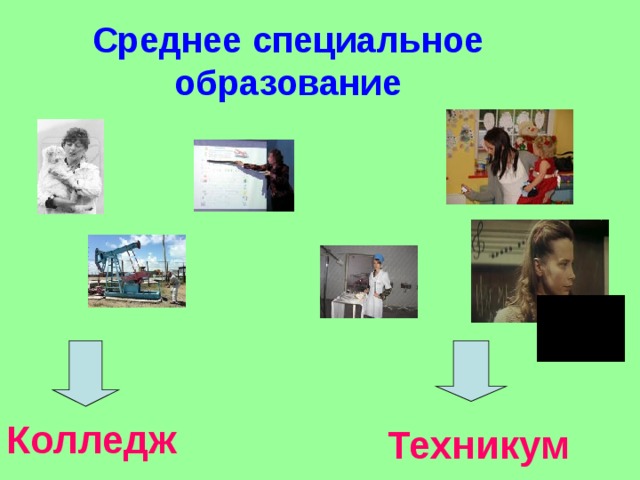 Среднее специальное образование Колледж Техникум 