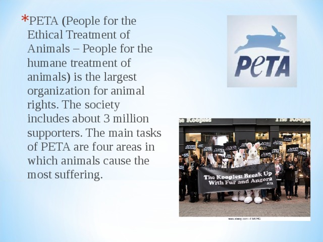 PETA (People for the Ethical Treatment of Animals – People for the humane treatment of animals) is the largest organization for animal rights. The society includes about 3 million supporters. The main tasks of PETA are four areas in which animals cause the most suffering. 