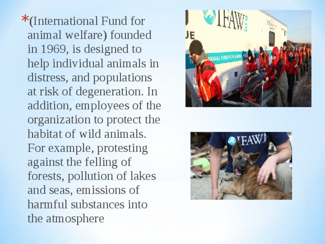 (International Fund for animal welfare) founded in 1969, is designed to help individual animals in distress, and populations at risk of degeneration. In addition, employees of the organization to protect the habitat of wild animals. For example, protesting against the felling of forests, pollution of lakes and seas, emissions of harmful substances into the atmosphere 