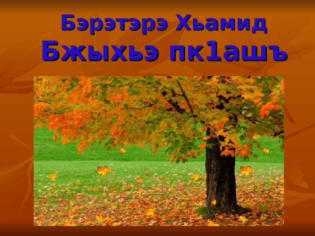 Бэрэтэрэ Хьамид  Бжыхьэ пк1ашъ 