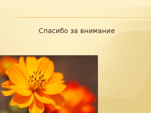 Спасибо за внимание 