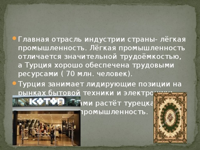 Главная отрасль индустрии страны- лёгкая промышленность. Лёгкая промышленность отличается значительной трудоёмкостью, а Турция хорошо обеспечена трудовыми ресурсами ( 70 млн. человек). Турция занимает лидирующие позиции на рынках бытовой техники и электроники. Быстрыми темпами растёт турецкая автомобильная промышленность. 