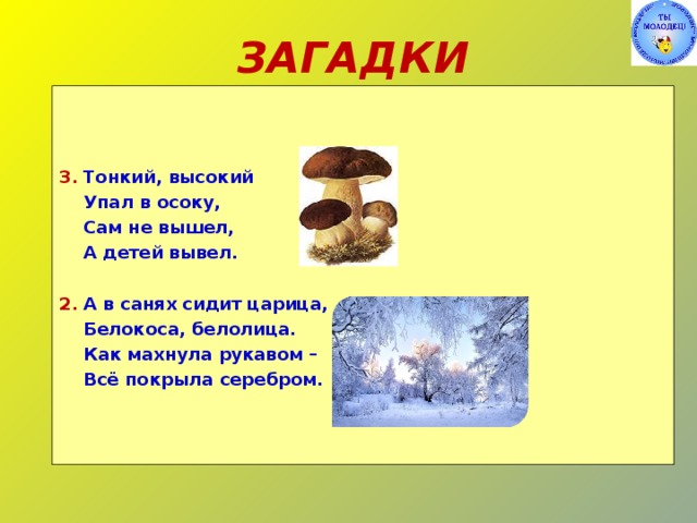 ЗАГАДКИ 3.  Тонкий, высокий  Упал в осоку,  Сам не вышел,  А детей вывел. 2.  А в санях сидит царица,  Белокоса, белолица.  Как махнула рукавом –  Всё покрыла серебром. 