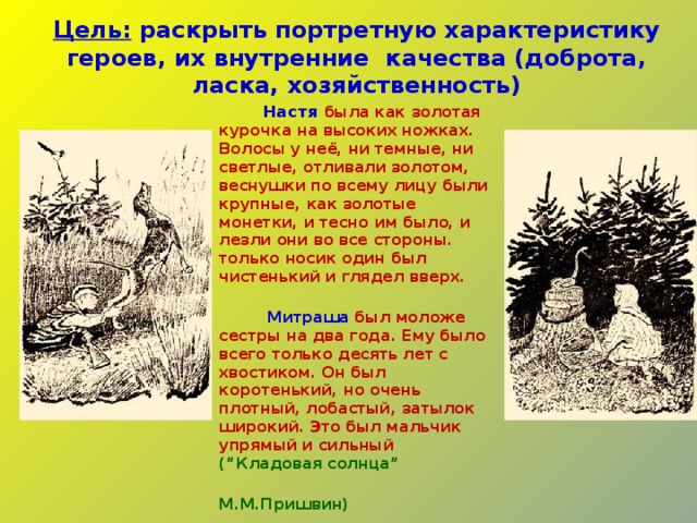 Цель: раскрыть портретную характеристику героев, их внутренние качества (доброта, ласка, хозяйственность) Настя была как золотая курочка на высоких ножках. Волосы у неё, ни темные, ни светлые, отливали золотом, веснушки по всему лицу были крупные, как золотые монетки, и тесно им было, и лезли они во все стороны. только носик один был чистенький и глядел вверх.  Митраша был моложе сестры на два года. Ему было всего только десять лет с хвостиком. Он был коротенький, но очень плотный, лобастый, затылок широкий. Это был мальчик упрямый и сильный (“Кладовая солнца”  М.М.Пришвин) 