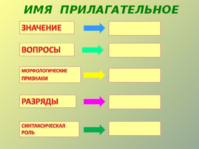 ИМЯ ПРИЛАГАТЕЛЬНОЕ 