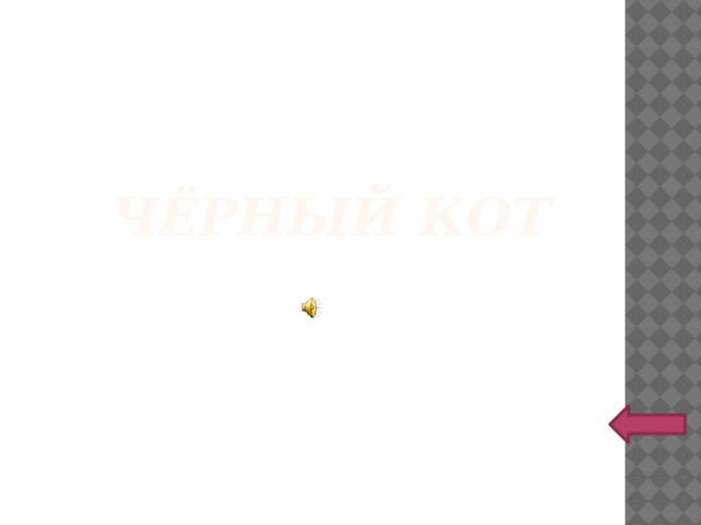 Чёрный кот 