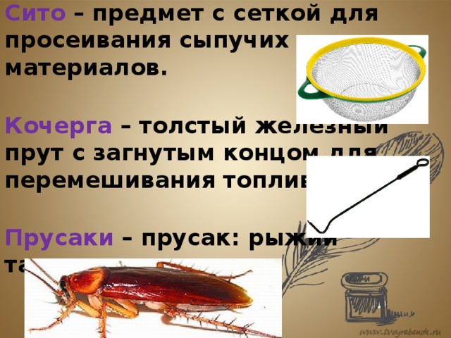 Сито – предмет с сеткой для просеивания сыпучих материалов. Кочерга – толстый железный прут с загнутым концом для перемешивания топлива в печи. Прусаки – прусак: рыжий таракан. 