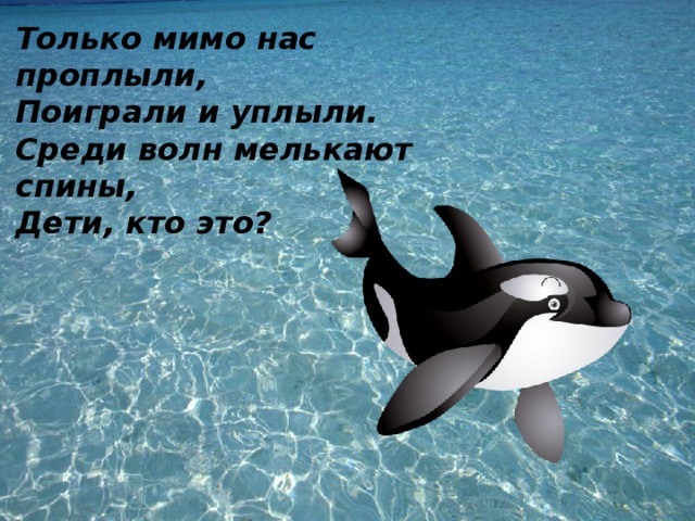 Только мимо нас проплыли, Поиграли и уплыли. Среди волн мелькают спины, Дети, кто это?