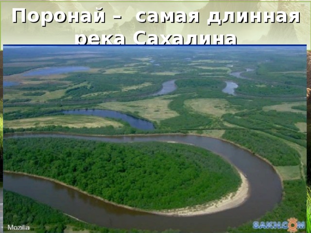 Поронай – самая длинная река Сахалина 