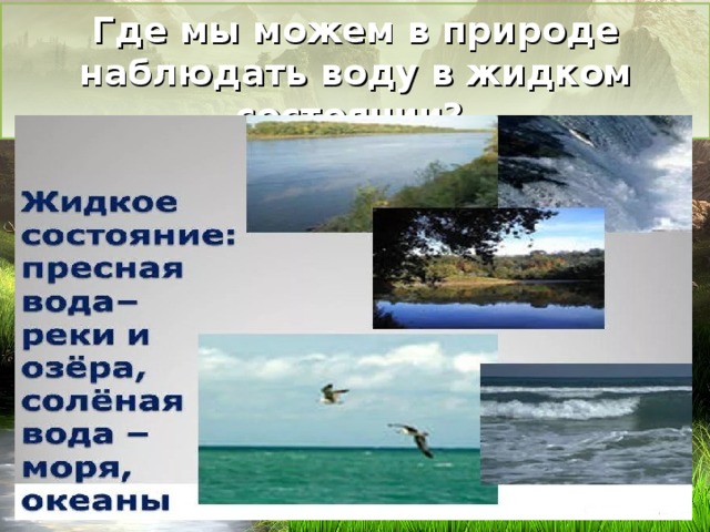 Где мы можем в природе наблюдать воду в жидком состоянии? 