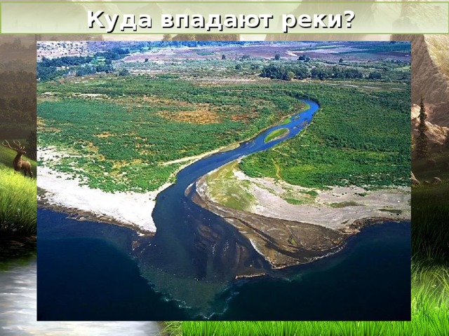 Куда впадают реки? 