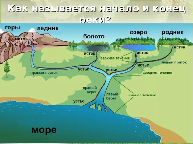 Как называется начало и конец реки? 