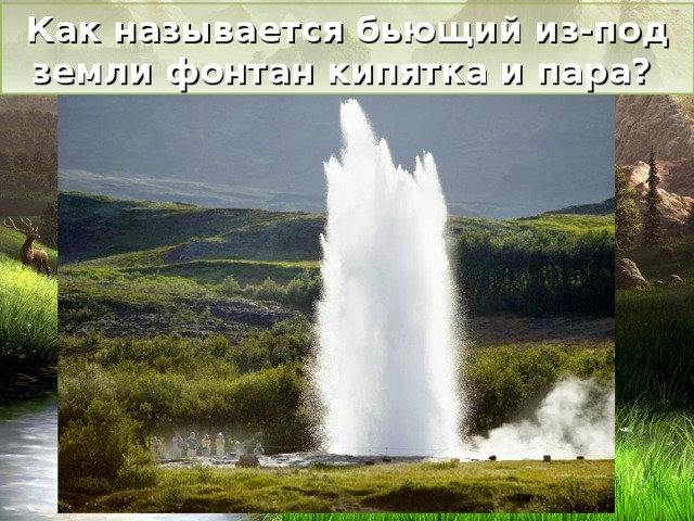 Как называется бьющий из-под земли фонтан кипятка и пара? 