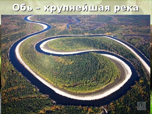Обь – крупнейшая река Сибири 