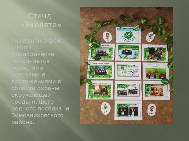 Стенд  «Эколята» Размещён в фойе школы. Периодически пополняется новостями, успехами и достижениями в области охраны окружающей среды нашего родного посёлка и Зимовниковского района. 