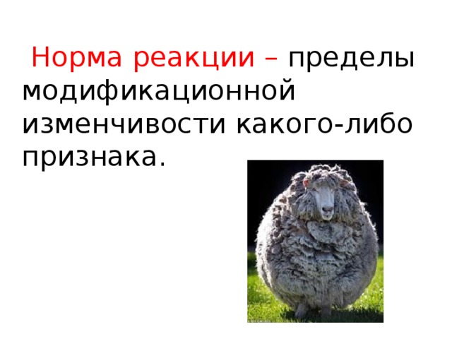  Норма реакции – пределы модификационной изменчивости какого-либо признака. 