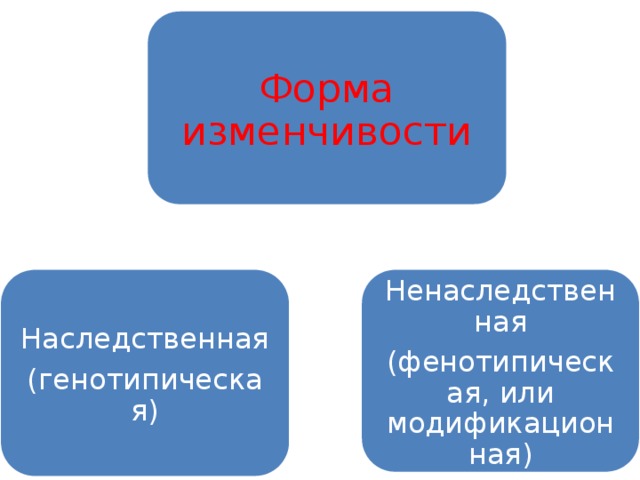 Форма изменчивости Наследственная (генотипическая) Ненаследственная (фенотипическая, или модификационная) 