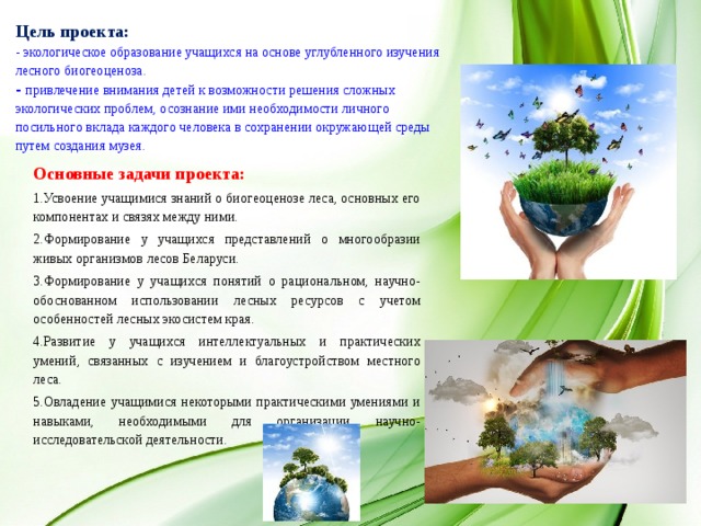 Цель проекта:  - экологическое образование учащихся на основе углубленного изучения лесного биогеоценоза.  -  привлечение внимания детей к возможности решения сложных экологических проблем, осознание ими необходимости личного посильного вклада каждого человека в сохранении окружающей среды путем создания музея. Основные задачи проекта: Усвоение учащимися знаний о биогеоценозе леса, основных его компонентах и связях между ними. Формирование у учащихся представлений о многообразии живых организмов лесов Беларуси. Формирование у учащихся понятий о рациональном, научно-обоснованном использовании лесных ресурсов с учетом особенностей лесных экосистем края. Развитие у учащихся интеллектуальных и практических умений, связанных с изучением и благоустройством местного леса. Овладение учащимися некоторыми практическими умениями и навыками, необходимыми для организации научно-исследовательской деятельности. 
