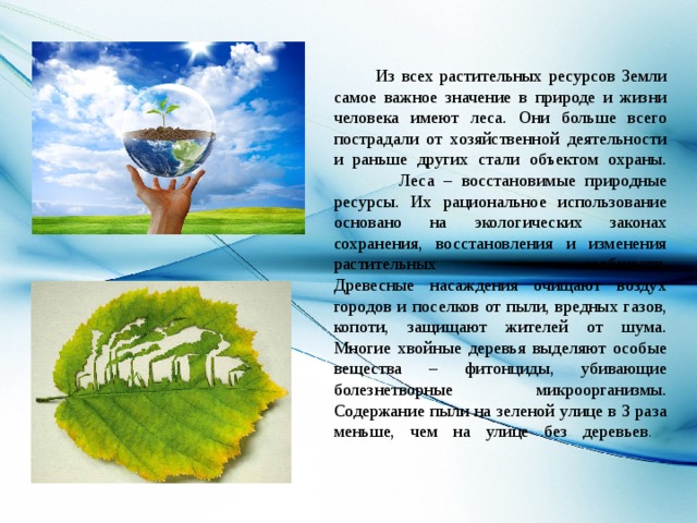  Из всех растительных ресурсов Земли самое важное значение в природе и жизни человека имеют леса. Они больше всего пострадали от хозяйственной деятельности и раньше других стали объектом охраны.  Леса – восстановимые природные ресурсы. Их рациональное использование основано на экологических законах сохранения, восстановления и изменения растительных сообществ.  Древесные насаждения очищают воздух городов и поселков от пыли, вредных газов, копоти, защищают жителей от шума. Многие хвойные деревья выделяют особые вещества – фитонциды, убивающие болезнетворные микроорганизмы. Содержание пыли на зеленой улице в 3 раза меньше, чем на улице без деревьев .    