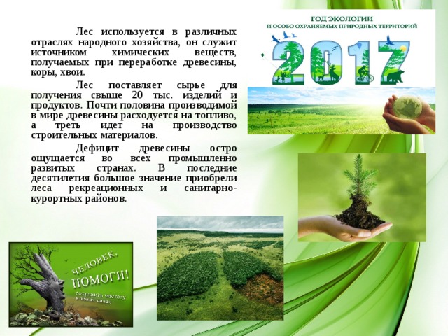  Лес используется в различных отраслях народного хозяйства, он служит источником химических веществ, получаемых при переработке древесины, коры, хвои.  Лес поставляет сырье для получения свыше 20 тыс. изделий и продуктов. Почти половина производимой в мире древесины расходуется на топливо, а треть идет на производство строительных материалов.  Дефицит древесины остро ощущается во всех промышленно развитых странах. В последние десятилетия большое значение приобрели леса рекреационных и санитарно-курортных районов. 