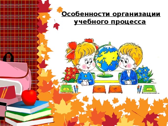 Особенности организации учебного процесса  