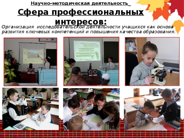 Научно-методическая деятельность   Сфера профессиональных интересов: Организация исследовательской деятельности учащихся как основа развития ключевых компетенций и повышения качества образования.   