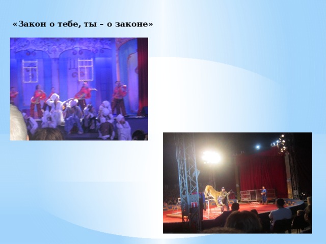 «Закон о тебе, ты – о законе» 