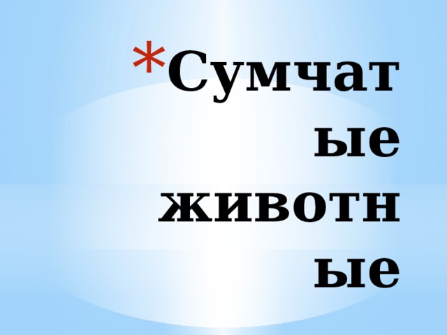 Сумчатые животные 