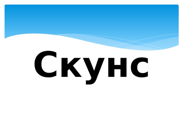 Скунс 